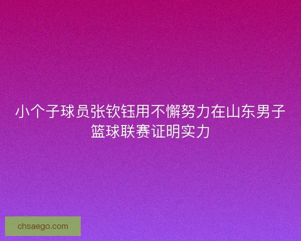 小个子球员张钦钰用不懈努力在山东男子篮球联赛证明实力