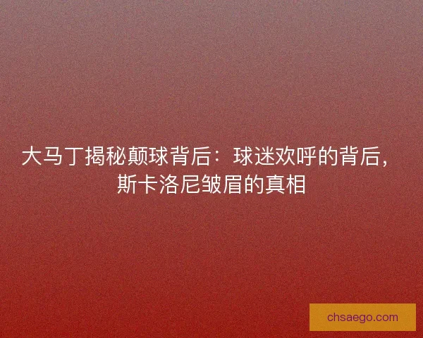 大马丁揭秘颠球背后：球迷欢呼的背后，斯卡洛尼皱眉的真相